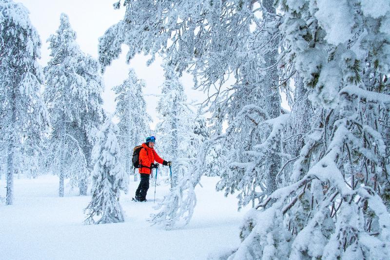 Suomu Chalets Suomutunturi Экстерьер фото